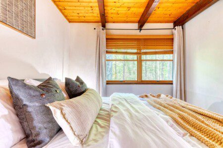 original 813152360947996315 1575015701.jpg