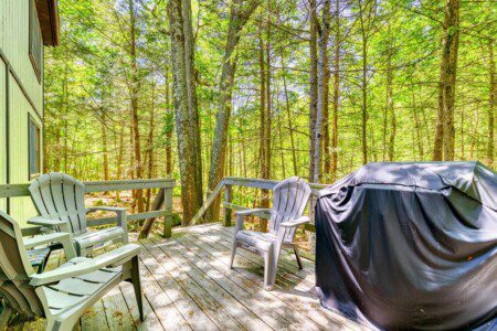 original 813152360947996315 1575016219.jpg